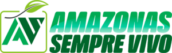 ASV